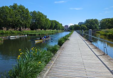 Trail Walking Strasbourg - La ceinture verte de Strasbourg - Photo