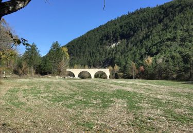 Randonnée V.T.T. Saint-André-les-Alpes - 27 octobre 2019 - Sommet de la Reynière, décos du Chalvet - Photo