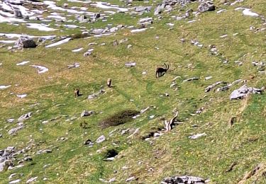 Trail Walking Entremont-le-Vieux - COL DE L'ALPETTE - Photo