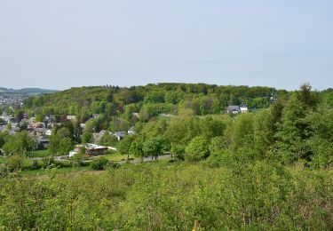 Tour Zu Fuß Brilon - Brilon B2 - Photo