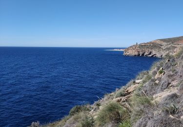 Trail Walking Gualchos - petit balade à Calahonda  - Photo