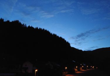 Tocht Te voet Münstertal/Schwarzwald - Mühlefelsenpfad - Photo