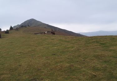 Randonnée Marche Souraïde - Errebi depuis col pinodieta Espelette - Photo