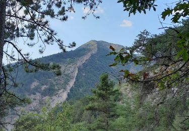 Percorso A piedi Espenel - Espenel de la Drome au col du grand pres - Photo
