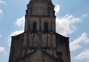 Percorso Marcia Bayon-sur-Gironde - Bayon ses vignes et la Gironde  - Photo