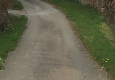 Tocht Stappen Néronde - Neronde vers Chapelle Notre Damem - Photo