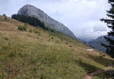 Percorso Marcia Le Grand-Bornand - Aiguille vertr, Lac de Lessy - Photo