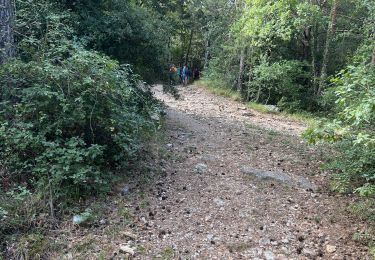 Randonnée Marche Plan-d'Aups-Sainte-Baume - la tour de cauvin - Photo