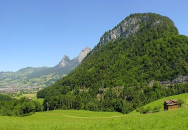 Tour Zu Fuß Morschach - Morschach - Stoss - Photo