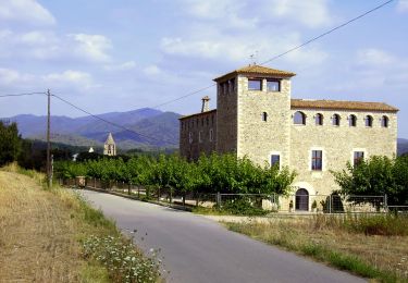 Trail On foot Sant Gregori - De Sant Gregori a Sant Grau - Photo