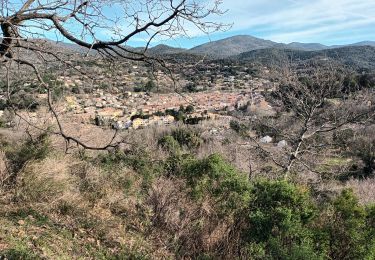 Trail Walking Collobrières - Les Maures-Collobrières-15-03-23 - Photo