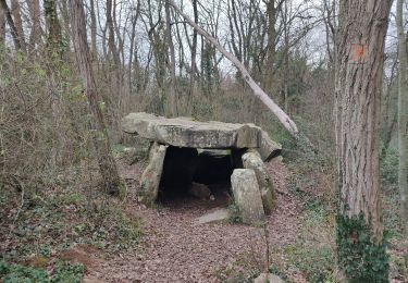 Excursión Senderismo Lardy - Au grès de la Juine - Photo