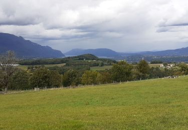 Trail Walking Cognin - forezan g1 - Photo