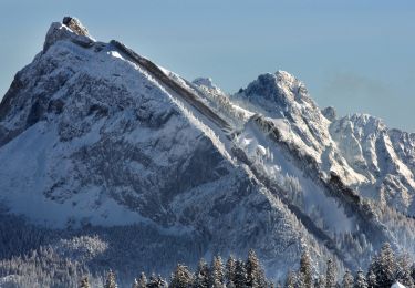 Tour Zu Fuß Einsiedeln - Rinderweidhorn - Gueteregg - Photo