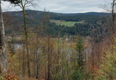 Tour Wandern Le Valtin - le Collet - Longemer - Photo