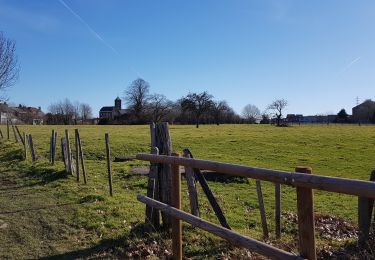 Tocht Stappen Luik - Rocourt > Hermee > Rocourt  - Photo