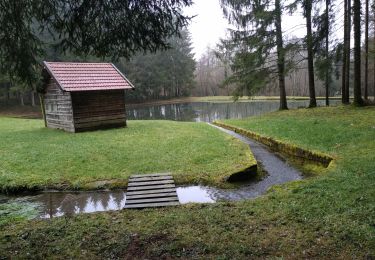 Randonnée Marche Naisey-les-Granges - Naisey  7 janv 2020 CAF - Photo