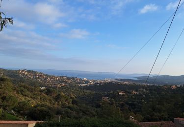 Trail Road bike Le Lavandou - bormes col canadel bormes - Photo