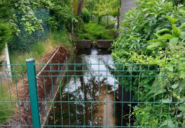 Excursión Senderismo Nouan-le-Fuzelier - promenade de nouan  - Photo