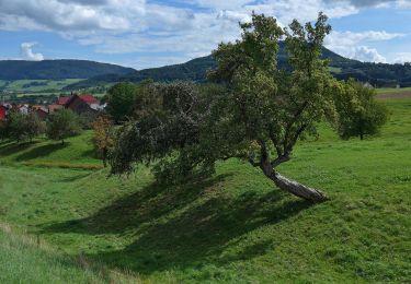 Excursión A pie Waldstetten - Glaubensweg 5 - Photo