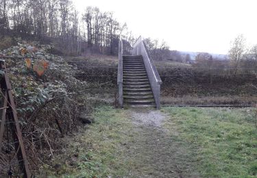 Trail Walking Namur - Naninne 081220 - Photo