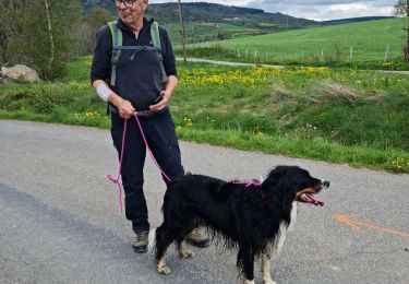 Tocht Stappen Monts-de-Randon - Rando du 13/05/2024..Rieutor de Randon..Truc de Fortuneo..Lac de Charpal - Photo