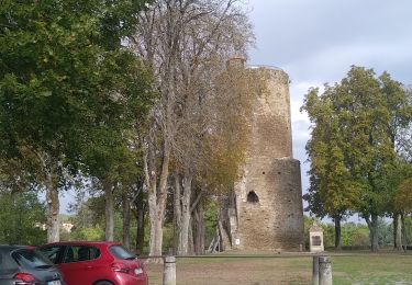 Excursión Senderismo Vouvant - Vouvant  - Photo