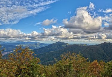 Excursión A pie Masone - Passo del Turchino - Colla di Praglia - Photo