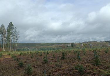Tour Wandern Manhay - Adeps Malempré 2023 - Photo