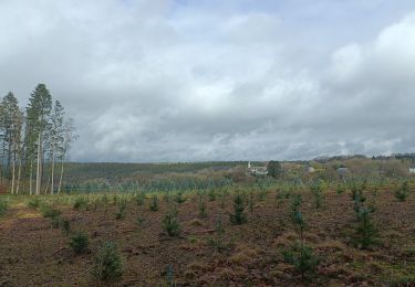 Randonnée Marche Manhay - Adeps Malempré 2023 - Photo