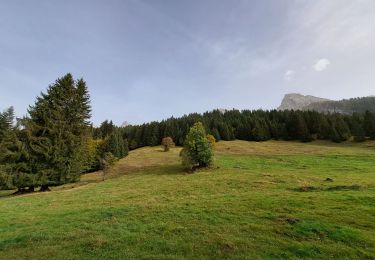 Excursión Senderismo La Clusaz - Chalet de Tardevan - Photo