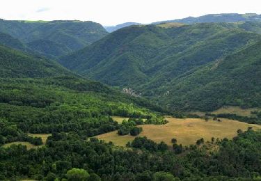 Trail Walking Courgoul - Courgoul_Chemin_Bergeres - Photo