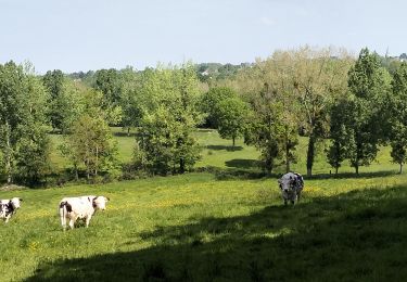 Tocht Mountainbike Donville-les-Bains - 50-vtt-donville-21km-200m - Photo