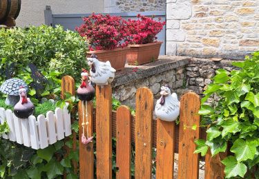 Trail Walking La Ferté-Alais - T-Misery - Photo