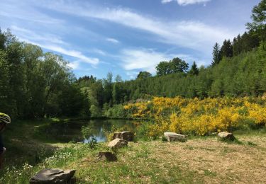 Tocht Wegfiets Bütgenbach - Ravel Butchenbach Malmedy - Photo