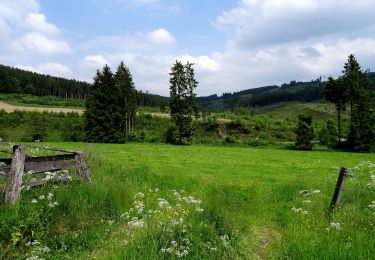 Tocht Te voet Bestwig - Föckinghausen Rundweg A3 - Photo