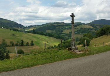 Trail Mountain bike Le Bonhomme - Le Grand Tour du Bonhomme (avec restaurant) - Photo