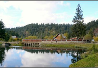 Tocht Te voet Gheorgheni - oraș Gheorgheni - Valea Fierul - La Tunzărie - Photo