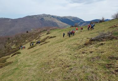Trail Walking Campan - campan G3 Courtaou empeye - Photo