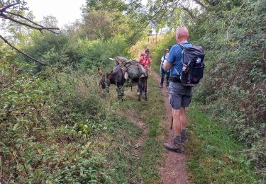Tour Wandern Le Monastier-sur-Gazeille - Le Monastier / Le Bouchet Saint Nicolas - Photo