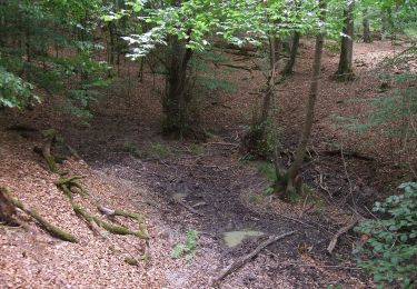 Percorso A piedi Butzbach - Wanderwege Hausberg - Milan - Photo