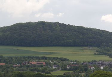 Percorso A piedi Fulda - Rundwanderweg Lotterberg - Photo