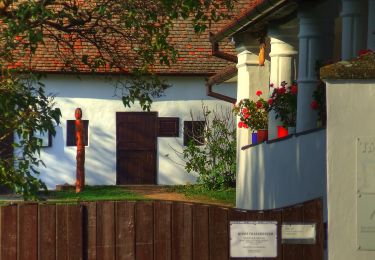 Percorso A piedi Mecseknádasd - K+ Pécsvárad – Rockenbauer Pál sírja – Zengővárkony – RPDDK - Photo