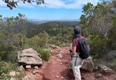 Trail Walking Darnius - Mirador sentinelle Ermitage St Estephe - Photo