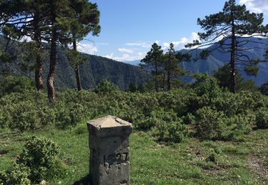 Randonnée Marche Breil-sur-Roya - Mont Grazian - Photo