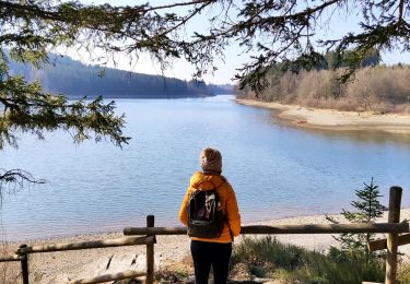 Percorso Marcia Bütgenbach - Le tour du lac de Bütgenbach  - Photo