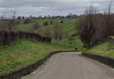 Randonnée Marche Blegny - Balade ressourçante à Blegny  - Photo