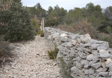 Excursión Senderismo Cabrières-d'Avignon - PF-Cabrières-d'Avignon - Le mur de la Peste - Photo