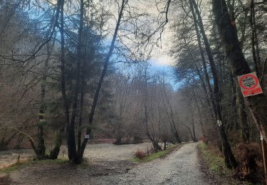 Trail Walking Libin - laisse la lesse  - Photo