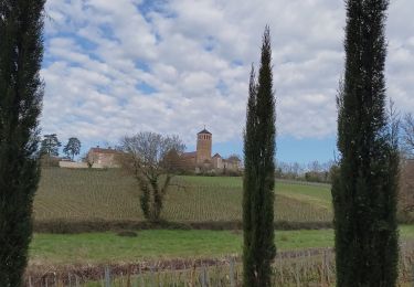 Randonnée Marche Viré - vire RST - Photo